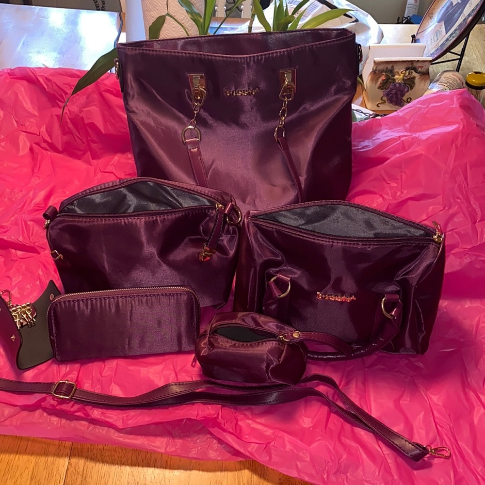 6 pc never carried purse set